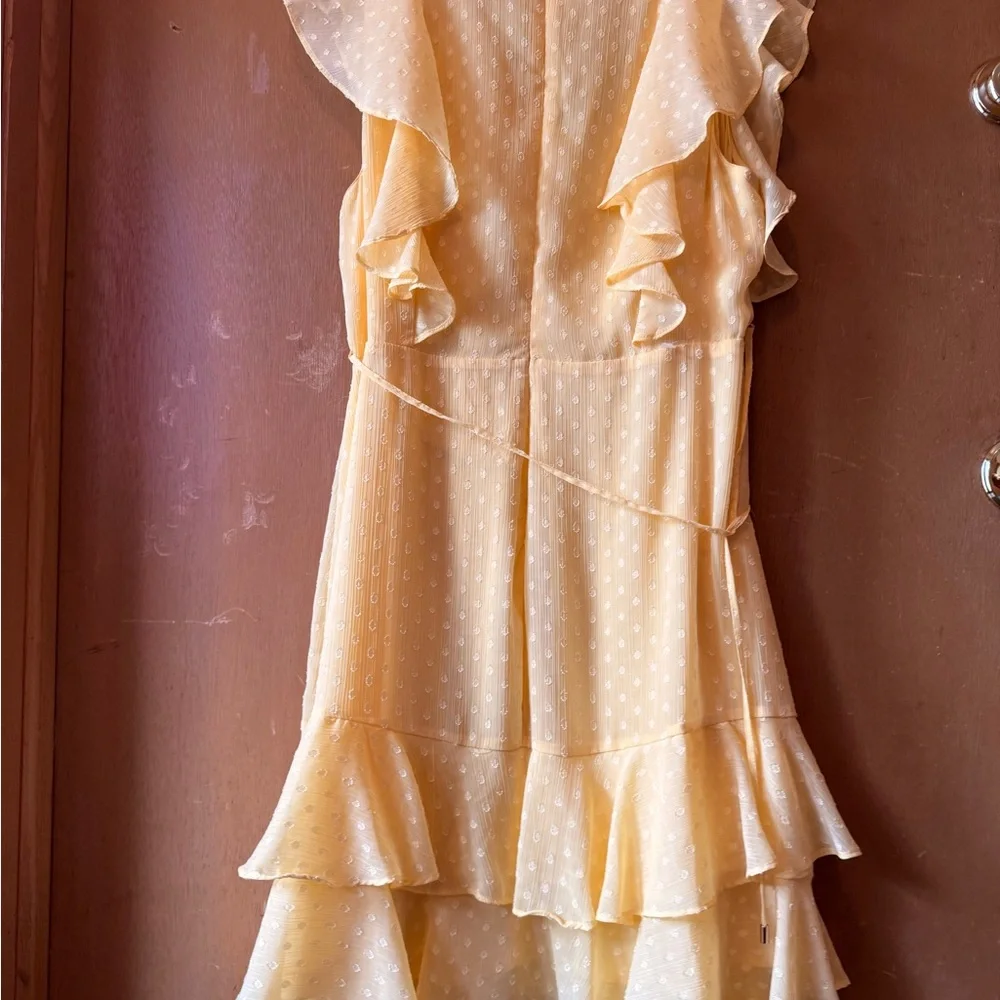Yellow Ruffled Dress - Picture 2 of 4